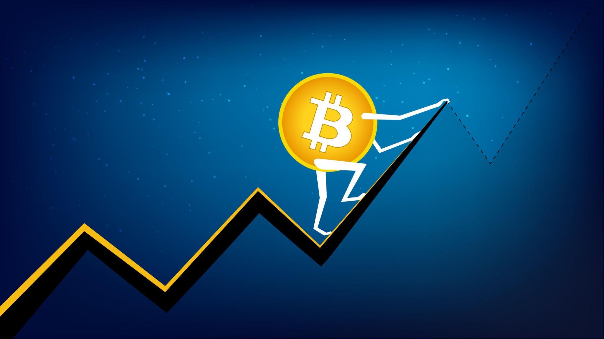 BlackRock CIO Says Bitcoin Price Is ‘Only Going Higher’ As Institutional Demand Accelerates