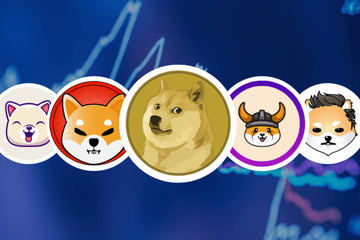 Why Is Shiba Inu Such An Attractive Asset For Investors? 