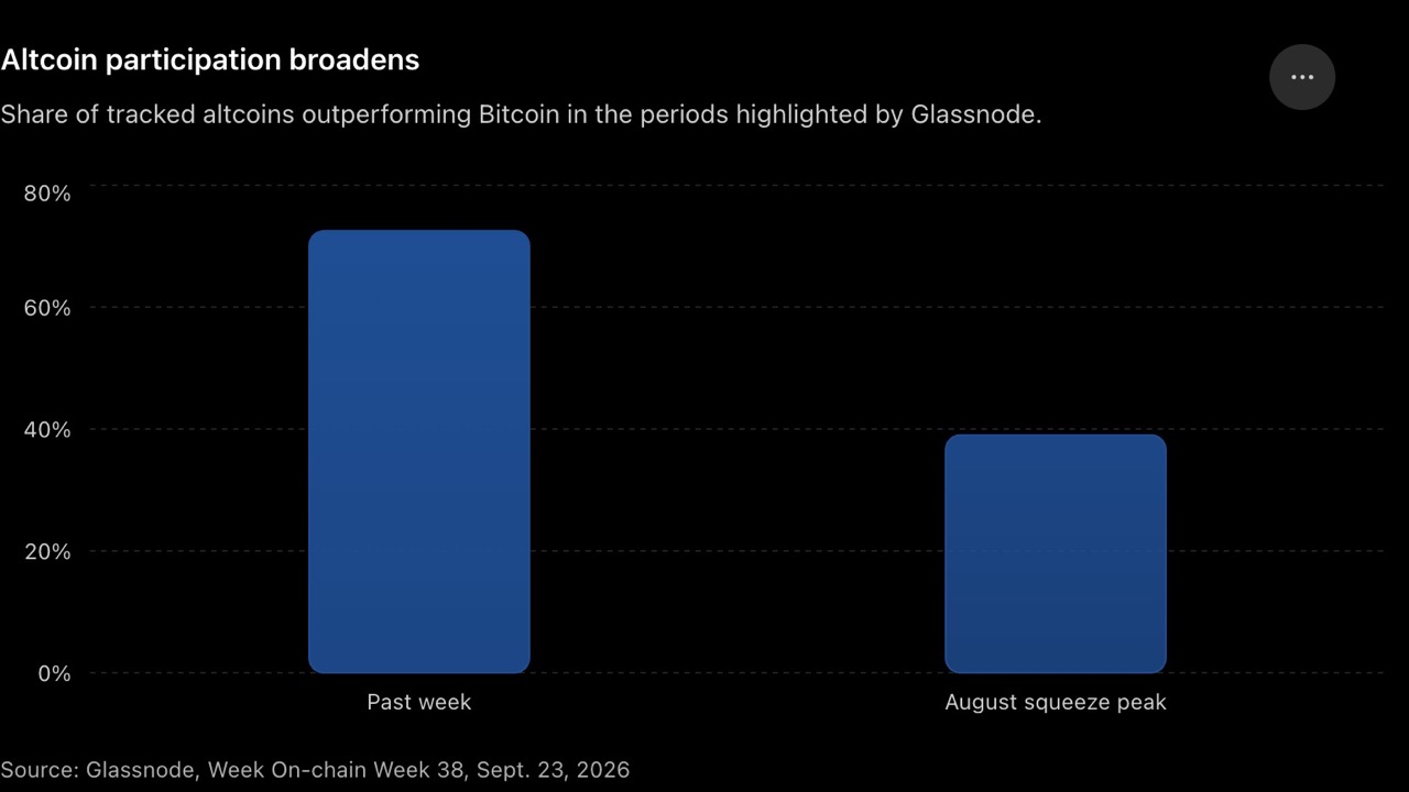 altcoin participation amid bitcoin rally Chart showing altcoin participation amid bitcoin rally